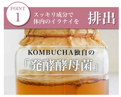 コンブチャキュッティ【Qutt-Tea】